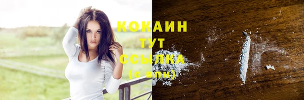 стаф Арсеньев