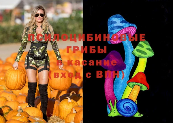 соль ск Аркадак