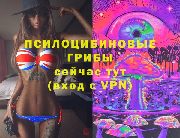стаф Арсеньев